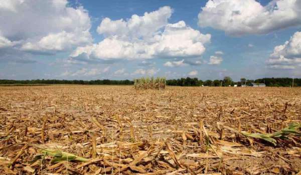 Siccità, dichiarato lo stato di calamità naturale su tutto il territorio siciliano