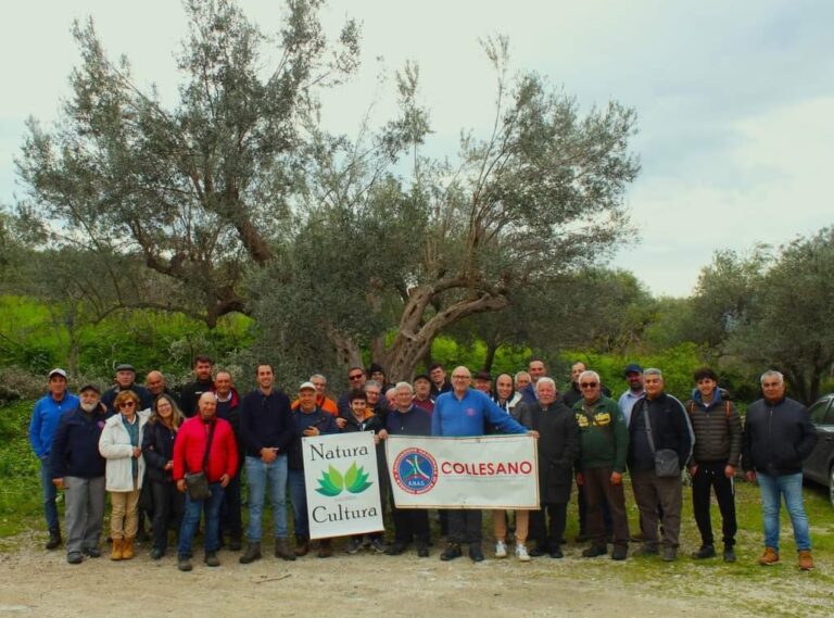 Successo a Bagheria del Corso di Potatura organizzato dall’A.N.A.S. zonale di Collesano