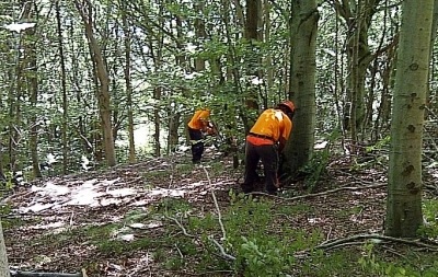 Arretrati contrattuali forestali: lettera aperta del Segretario UILA Palermo all’On. Carlo Auteri