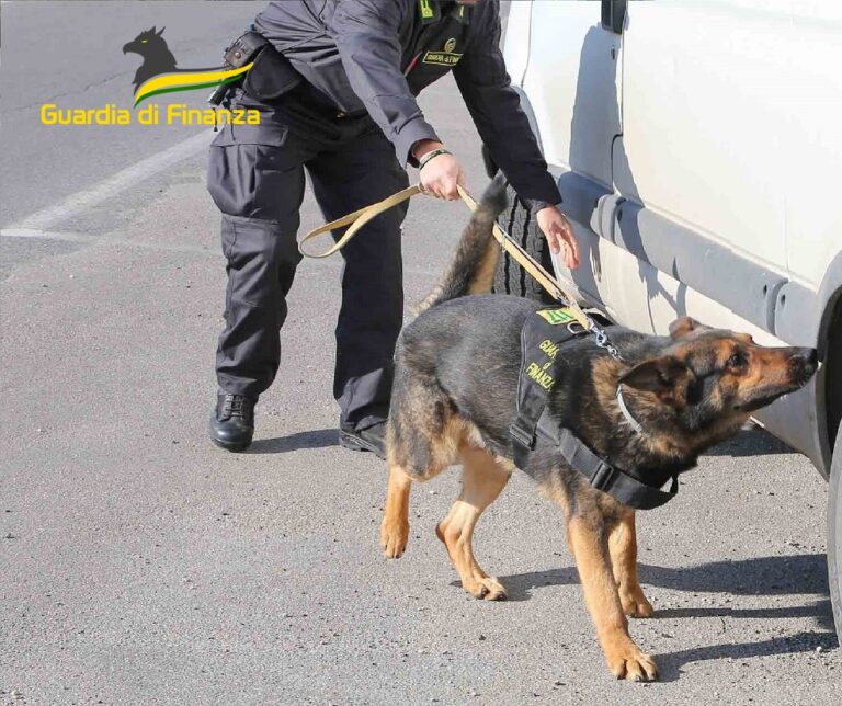 Nascondeva droga nel furgone: trentenne originario di Termini Imerese arrestato in provincia di Matera