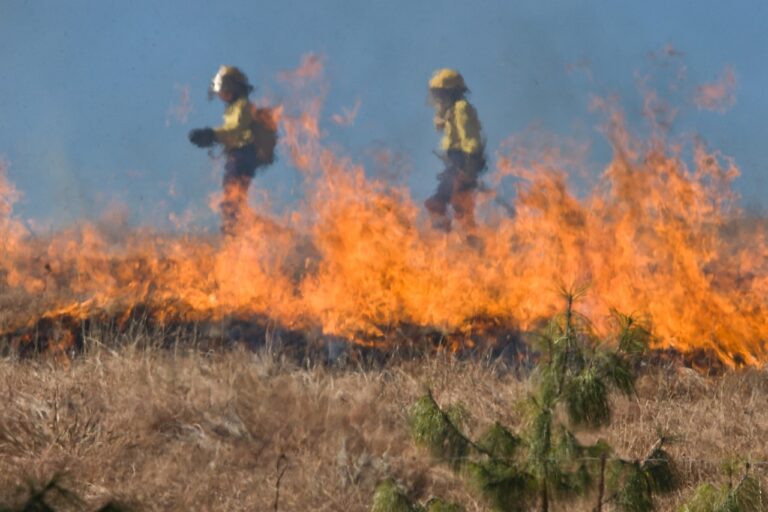 Prevenzione incendi, il Comune di Cefalù si prepara, ecco l’ordinanza emanata dal sindaco Tumminello