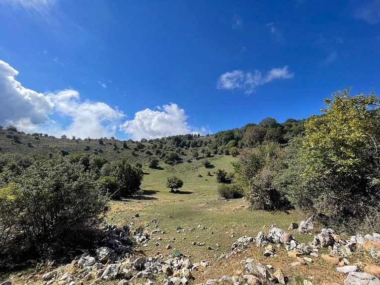 Castelbuono, escursione da Monticelli al Pagliaio di Piano Noce promossa da BCsicilia