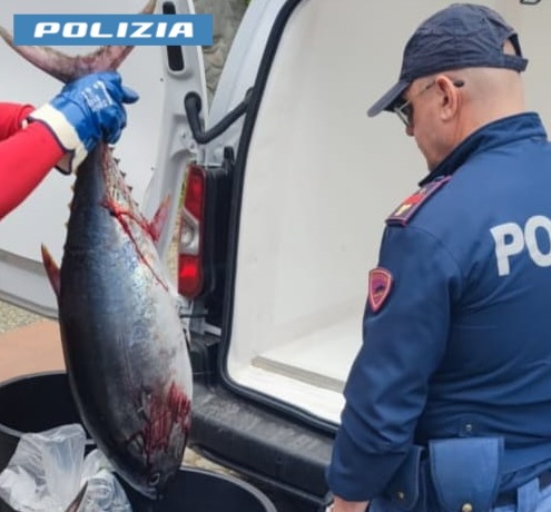 Cefalù, pesce senza tracciabilità: Polizia sequestra prodotti ittici. Sanzione per 5.500 euro    