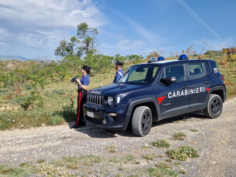 Incendio boschivo: beccato mentre appiccava fuoco, i Carabinieri di Ciminna arrestano un pastore 24enne