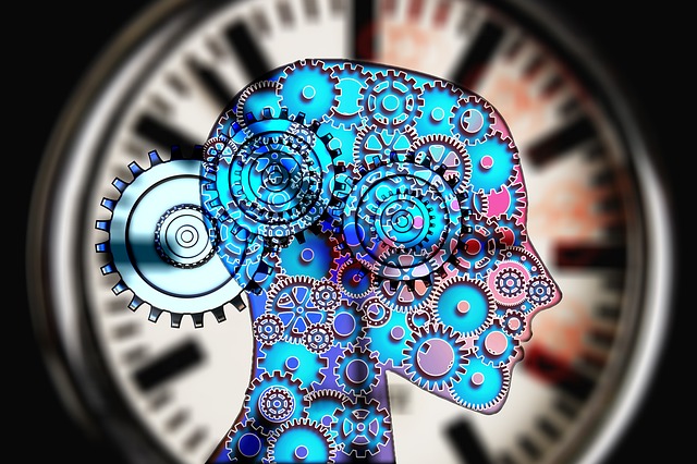 I ritmi biologici: chi al mattino e chi la sera