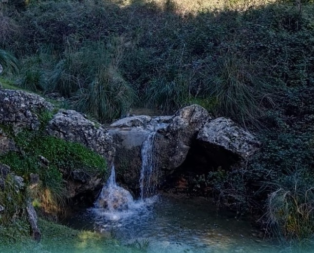 Escursione naturalistica al Torrente della Molara a Monreale