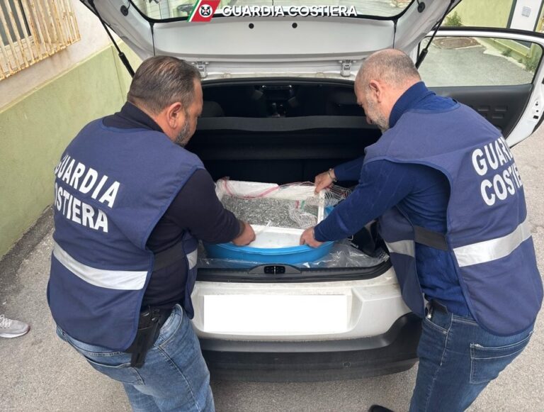 Pesca illegale di neonata: Guardia Costiera di Termini Imerese sequestra 40 kg. di prodotti ittici