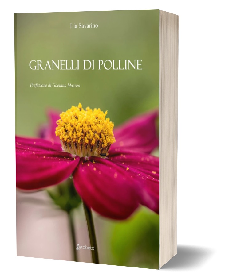 Termini Imerese, Api e Miele: visita guidata, degustazione, presentazione libro e cena nell’ambito della rassegna 30 Libri in 30 Giorni promossa da BCsicilia