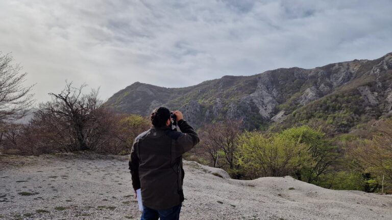 Arrivano i primi dati sulla fauna selvatica nel Parco delle Madonie: numeri in calo, ripartite le operazioni di controllo dei suidi