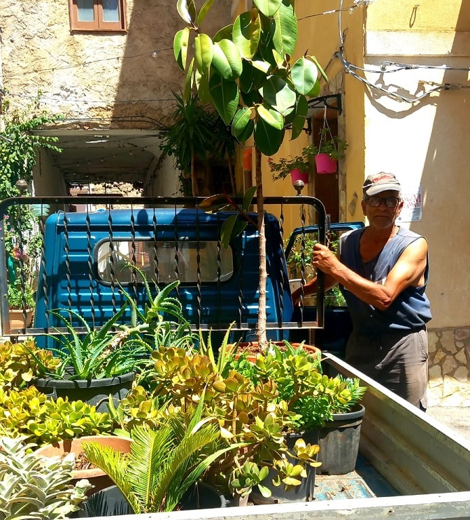 Una motoape di piante donati al Vicolo dei fiori di Carini