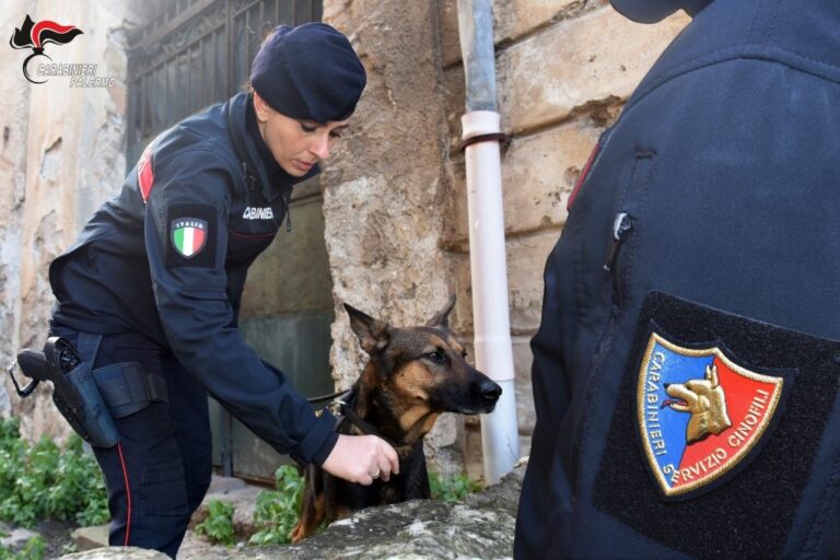 Contrasto alla droga in provincia di Palermo: in manette 4 spacciatori