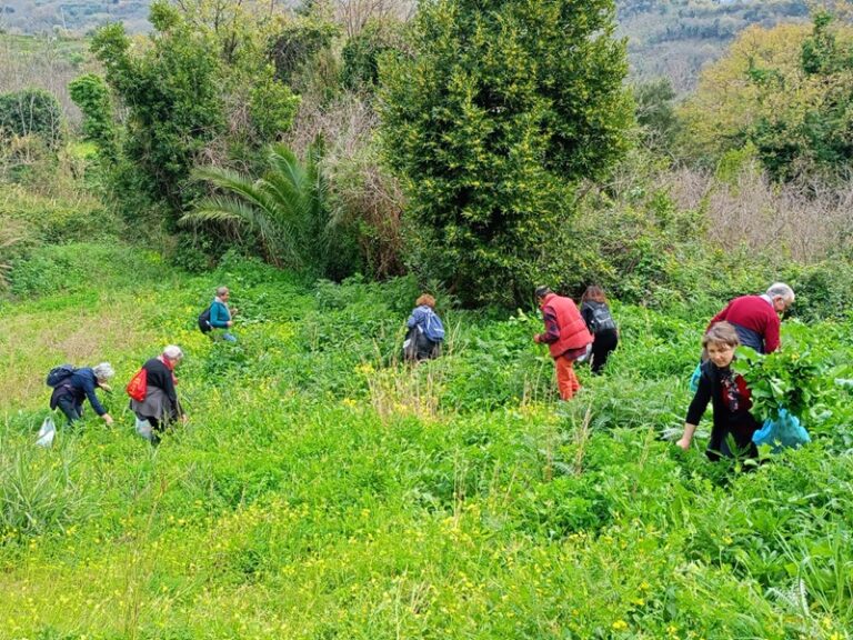 Altavilla Milicia, si parla delle piante alimentari della Riserva di Pizzo Cane, Pizzo Trigna, Grotta Mazzamuto all’incontro promosso da BCsicilia e Masci